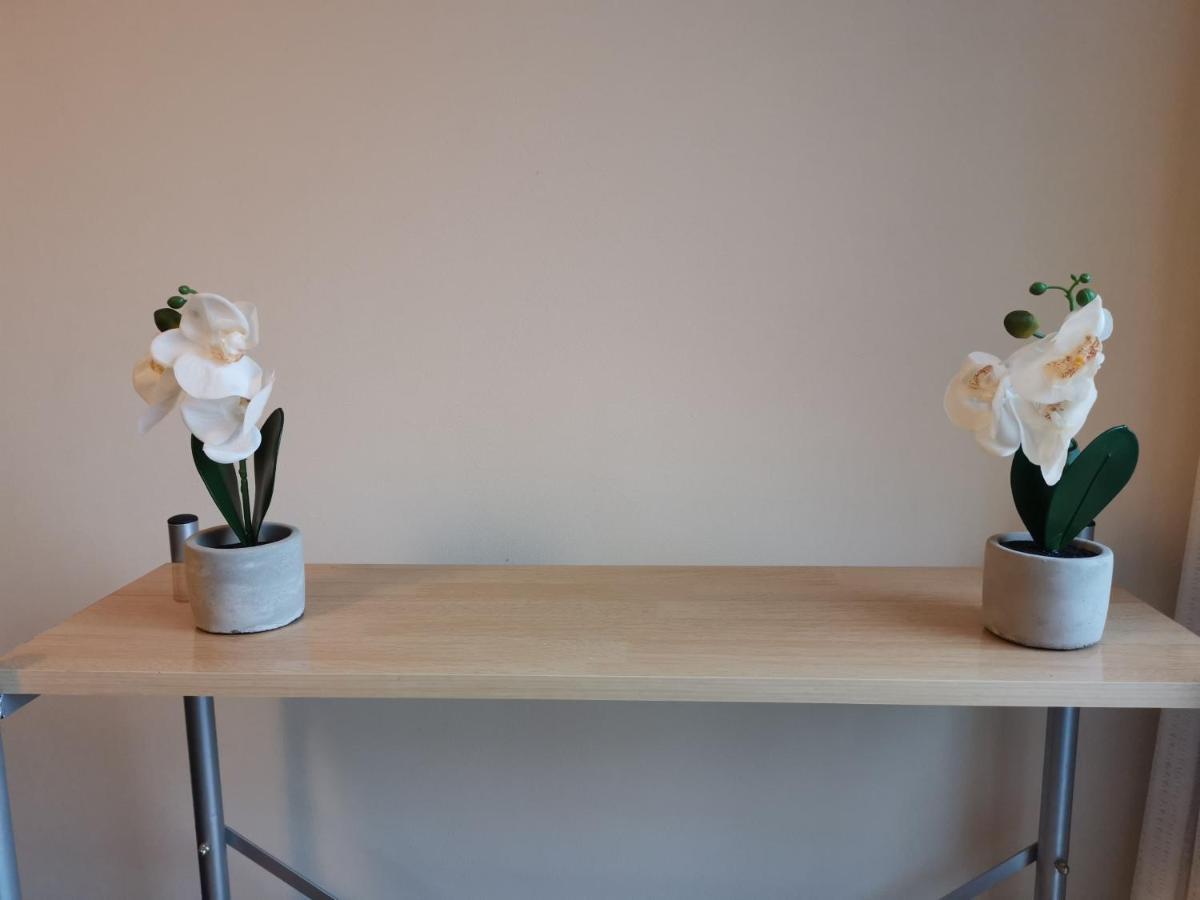 Town Centre Penthouse Basingstoke