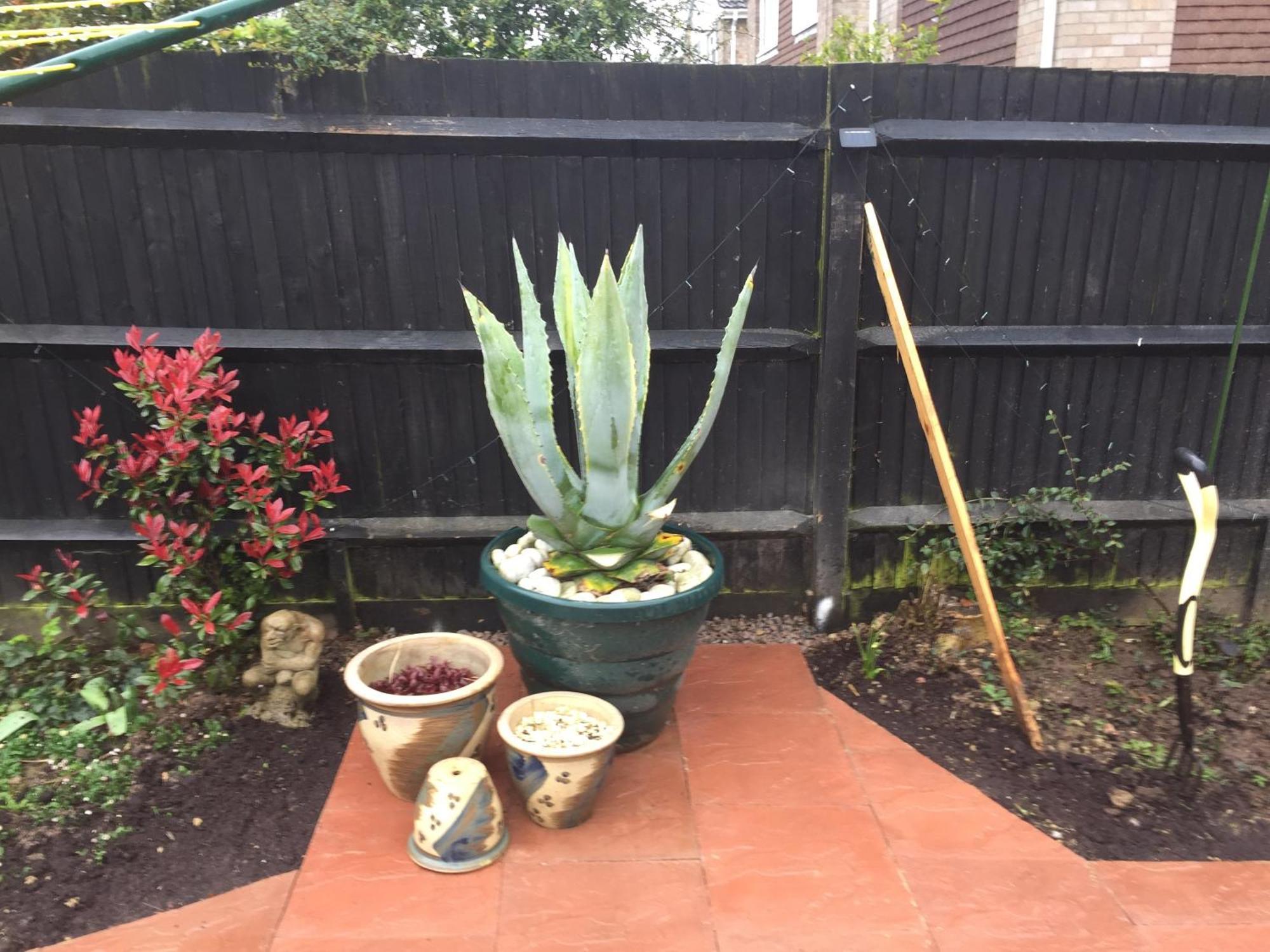 Bed & Breakfast En In Garden Annex Basingstoke