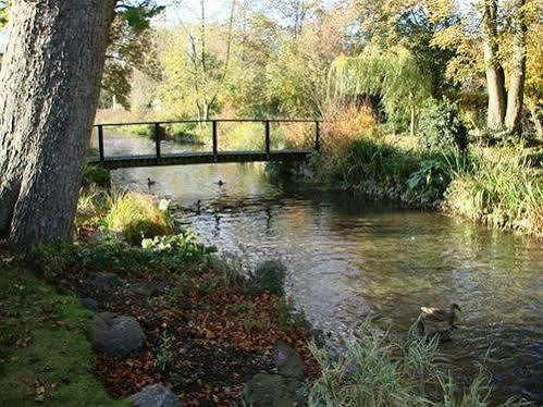 Mallards In Overton Basingstoke