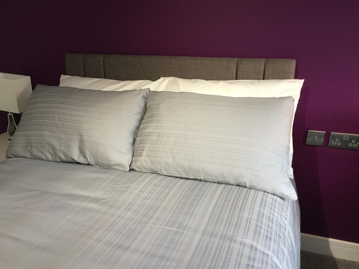Springfield House Studio Basingstoke