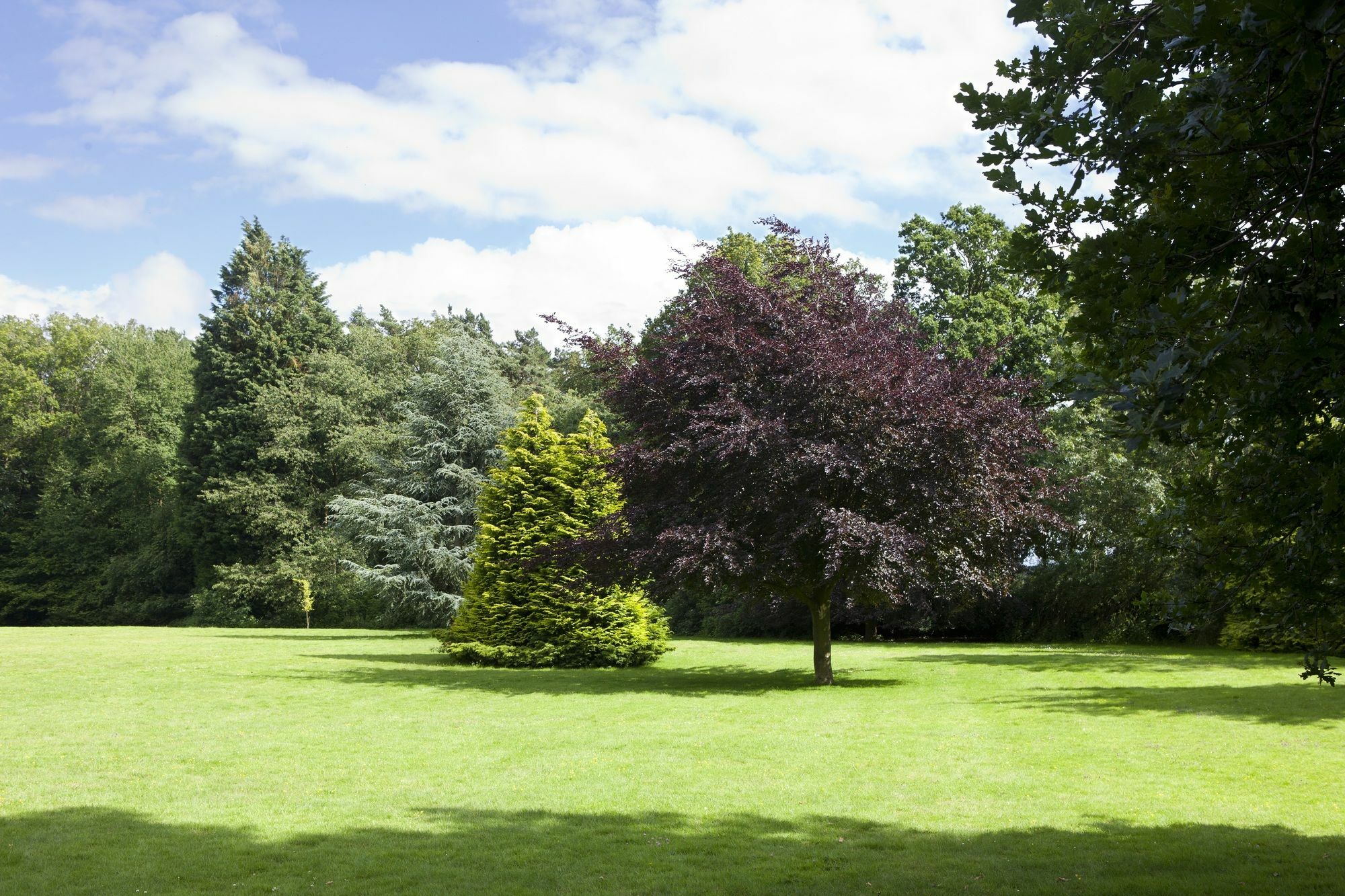 Audleys Wood Hotel, 4* Basingstoke