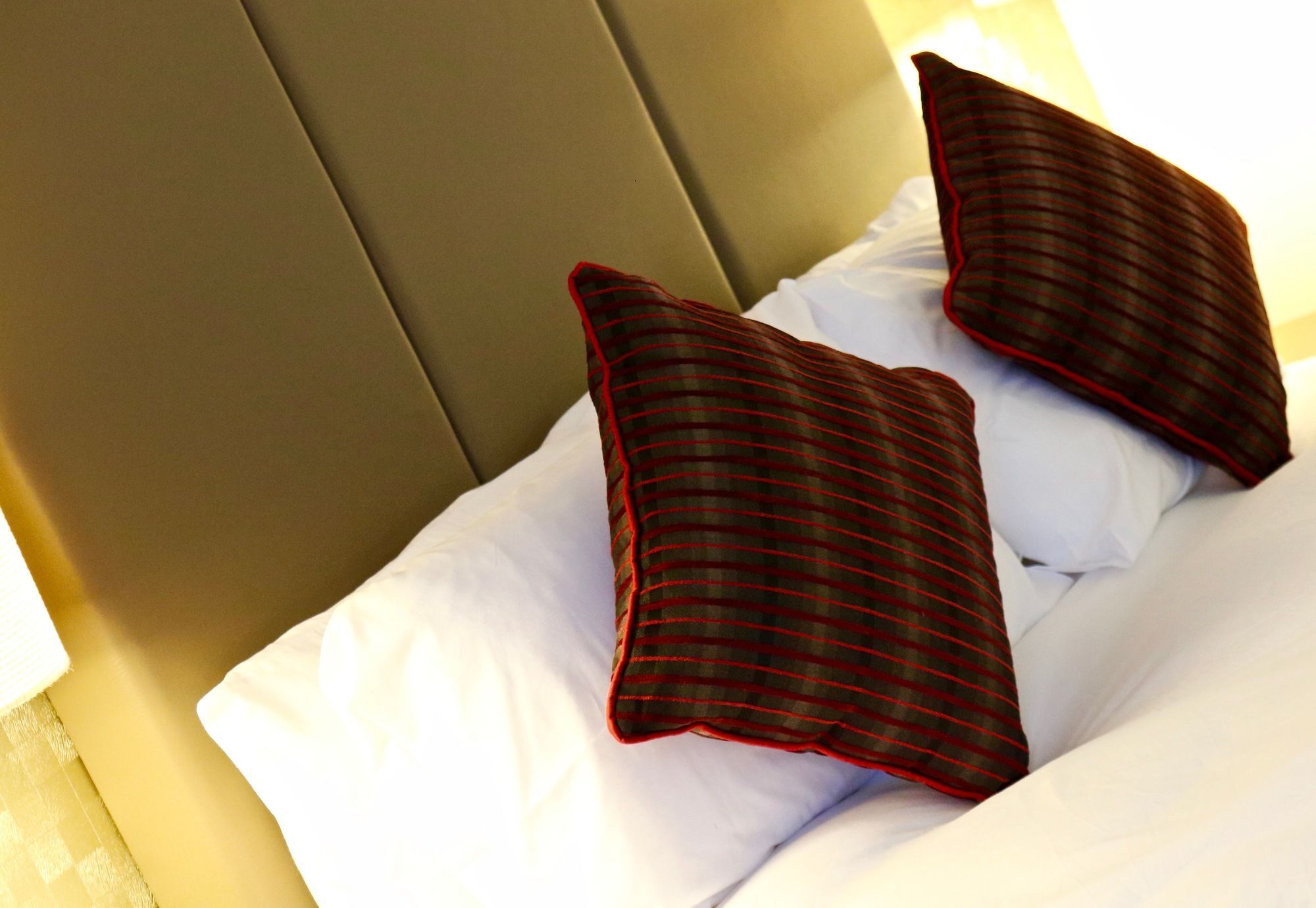 Hotel Apollo 4*