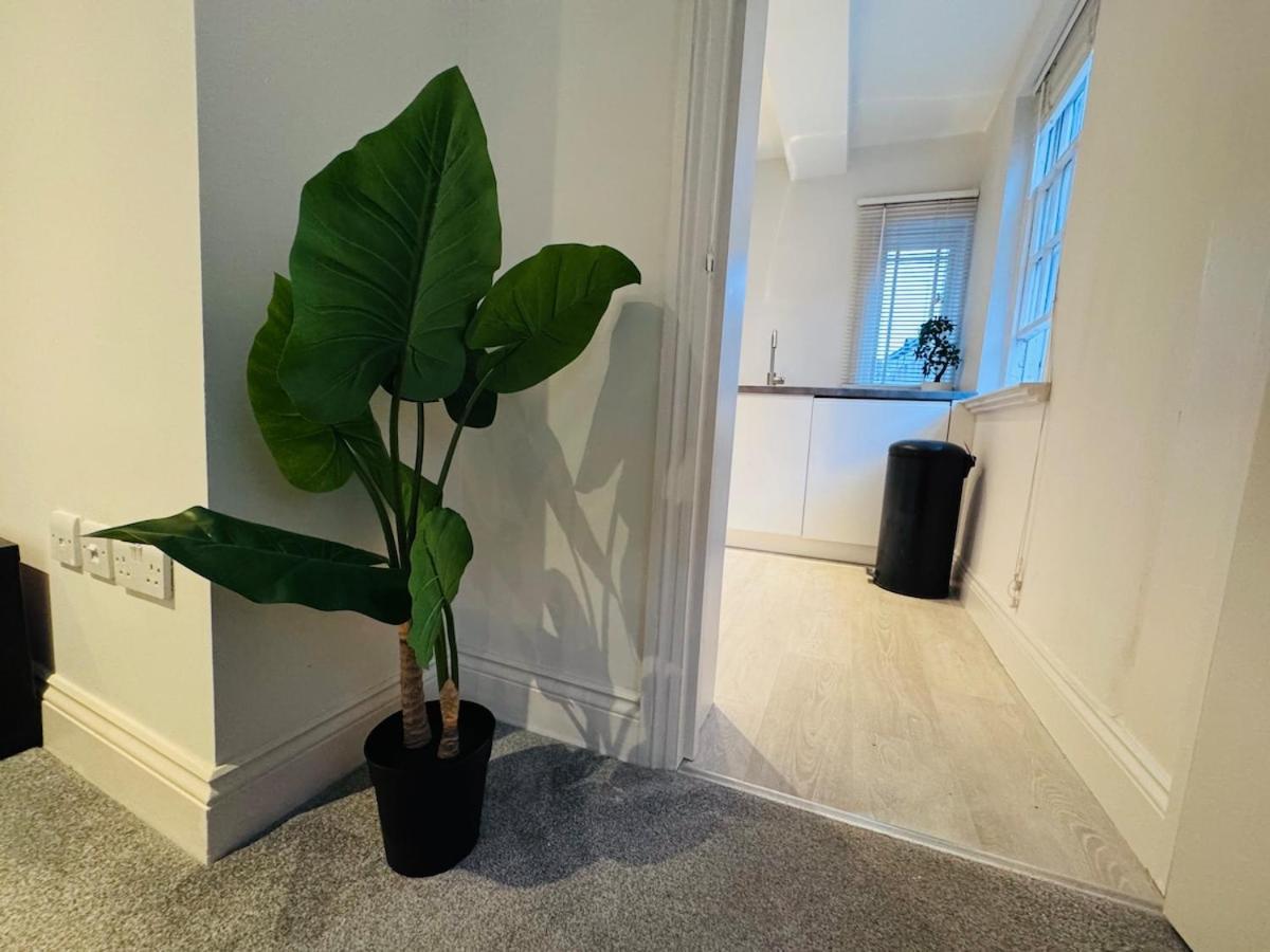 Modern One Bedroom Apartment, *